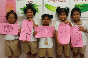 KG-Sensory-Exploration-Day KG-Sensory-Exploration-Day