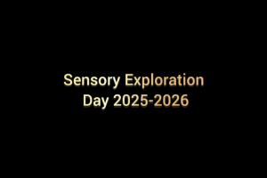 Sensory-Exploration-Day-at-AVRS-Sathya-Nagar-–-A-Journey-Through-the-Senses! Sensory-Exploration-Day-at-AVRS-Sathya-Nagar-–-A-Journey-Through-the-Senses!