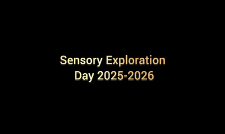 Sensory Exploration Day at AVRS Sathya Nagar