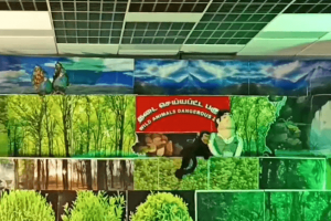 Puppetry-Show-on-Responsible-Mobile-Phone-Use